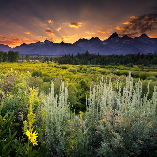 Hd-174289-ascw174289