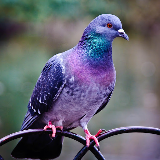 Hd-143532-ascw143532