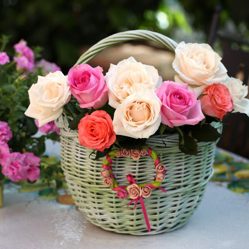 Hd-171835-ascw171835