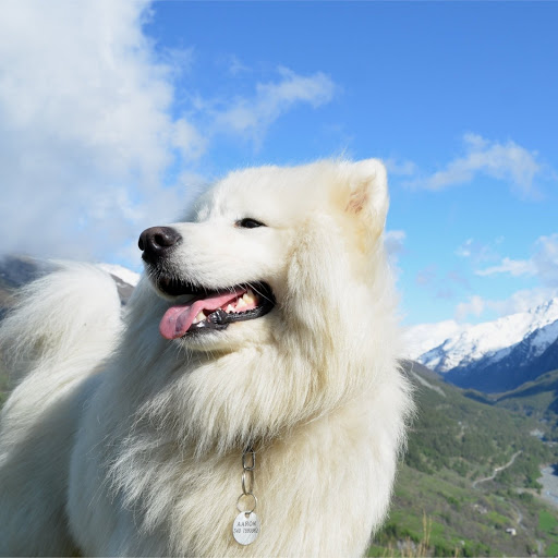 Hd-174831-ascw174831