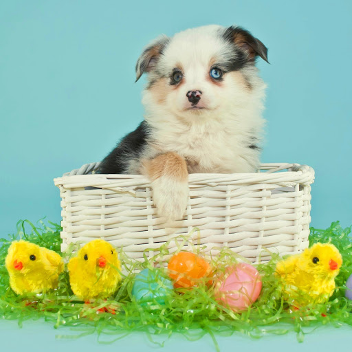 Hd-171655-ascw171655