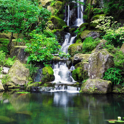 Hd-149062-ascw149062