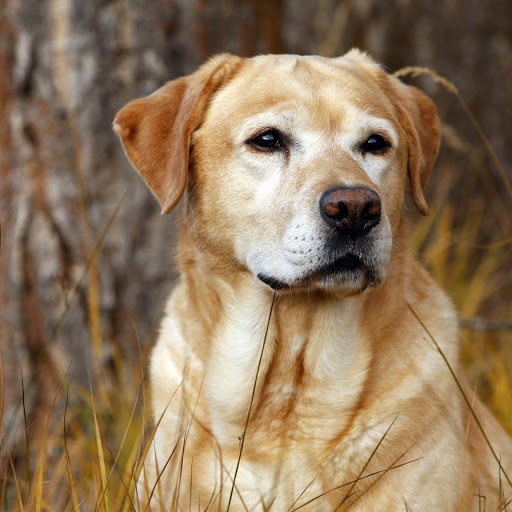 Hd-146552-ascw146552