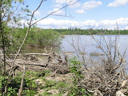 2013-06-17 Hecla Island - 036