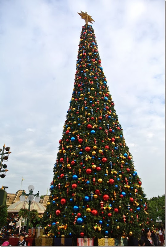 DSC_4184 DSC_4184
