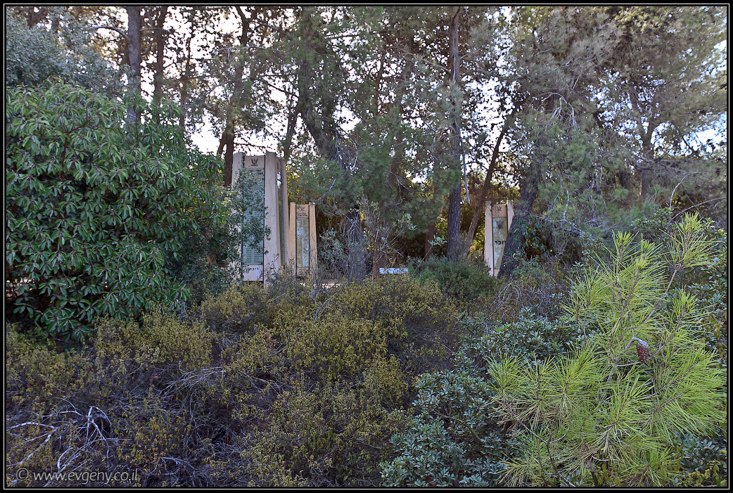 Гора Летчиков | Mt Tayasim | הר הטייסים | LookAtIsrael.com - Фото путешествия по Израилю