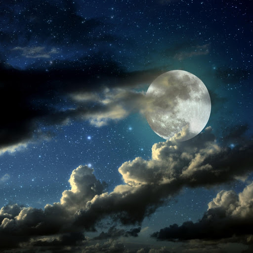 Hd-170247-ascw170247