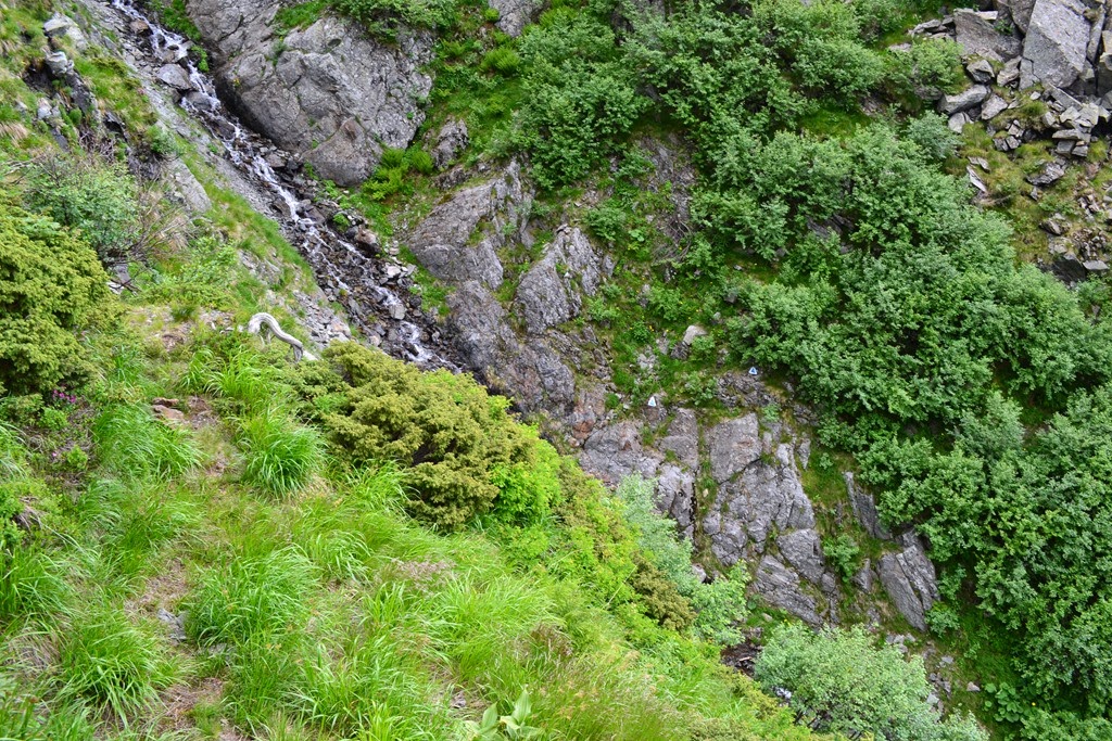 [DSC_77263.jpg]