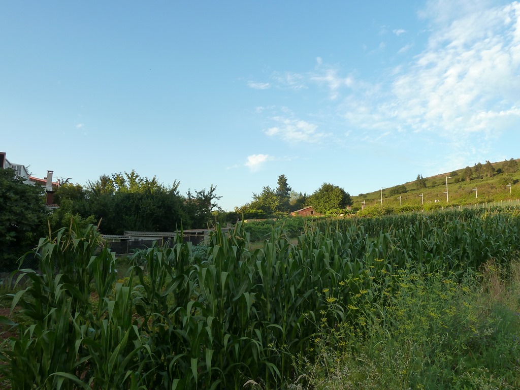 [P1030187%255B3%255D.jpg]