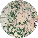 Rache Rachena profile picture