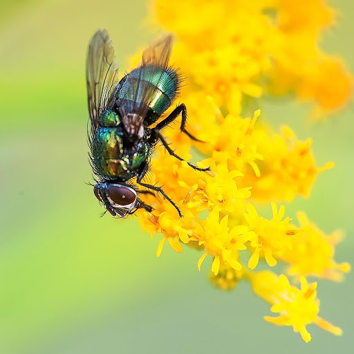 Hd-180197-ascw180197