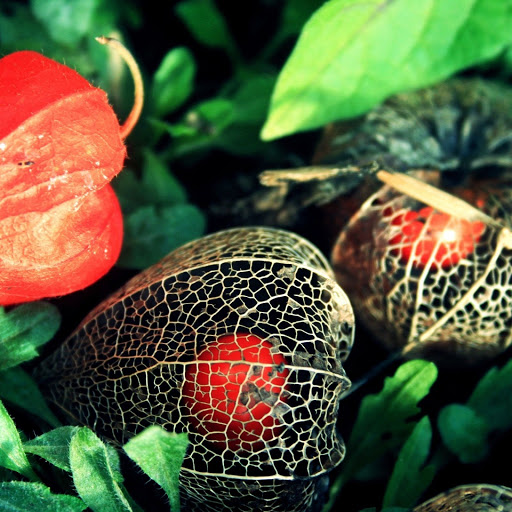 Hd-148071-ascw148071