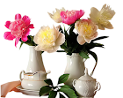 peony_flowers_tubed_by_thafs-1.png