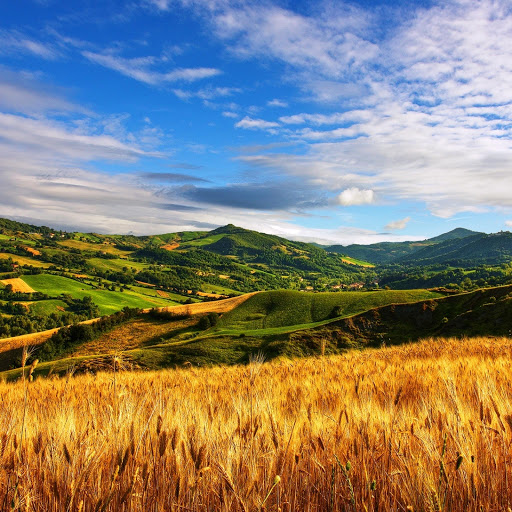 Hd-150415-ascw150415