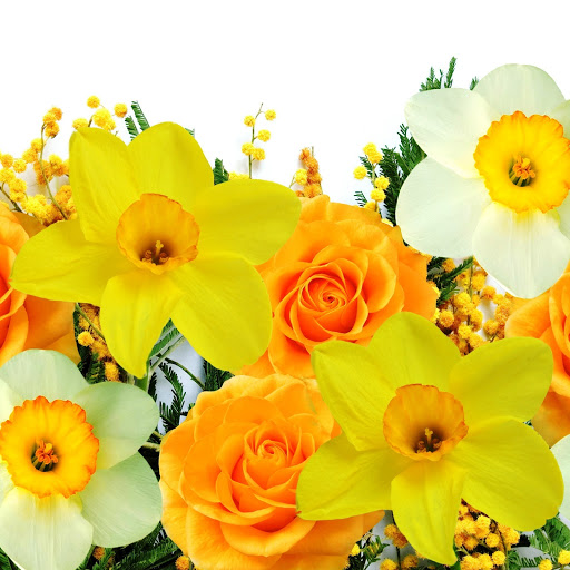 Hd-151487-ascw151487