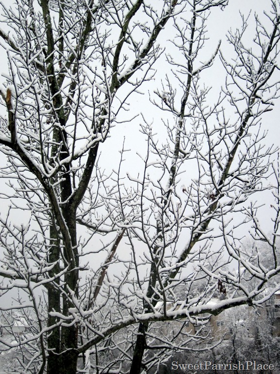 [IMG_1302%255B3%255D.jpg]