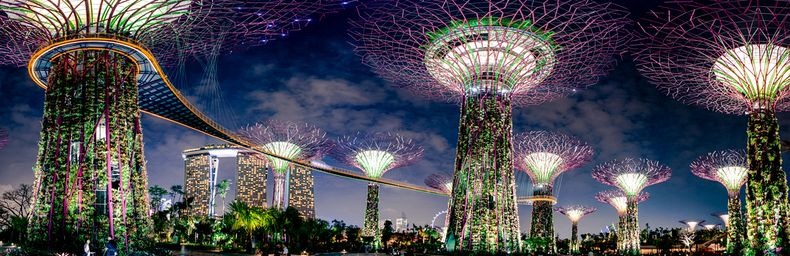 supertrees-singapore-6