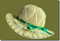 summer hat 3