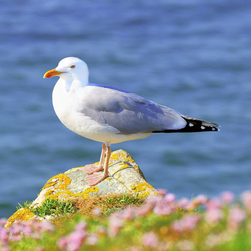 Hd-178192-ascw178192