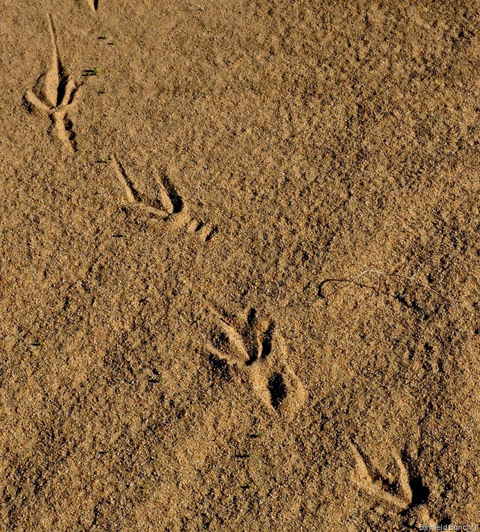 [DSC_0040%255B14%255D.jpg]