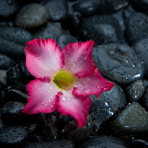 Hd-157303-ascw157303