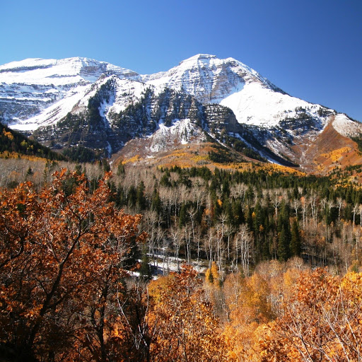 Hd-145949-ascw145949