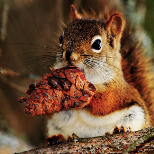 Hd-157485-ascw157485