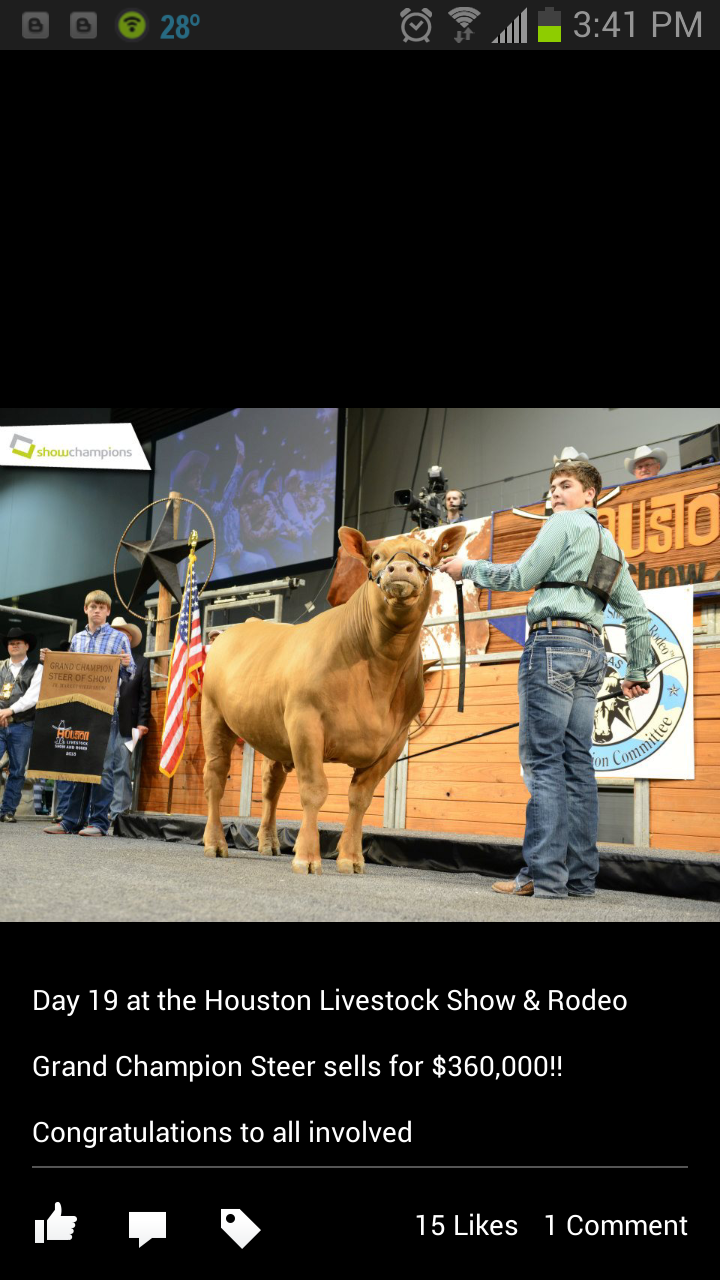 Lautner Farms Grand Champion Steer at Houston Livestock Show Sells for