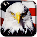 USA GO Theme Os67 logo