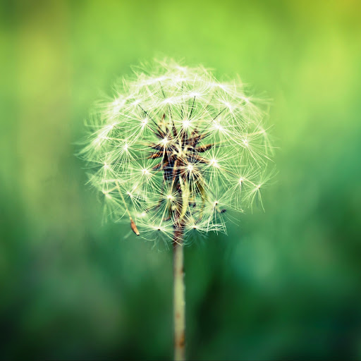 Hd-142653-ascw142653