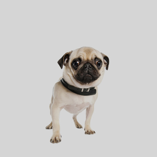 Hd-138323-ascw138323