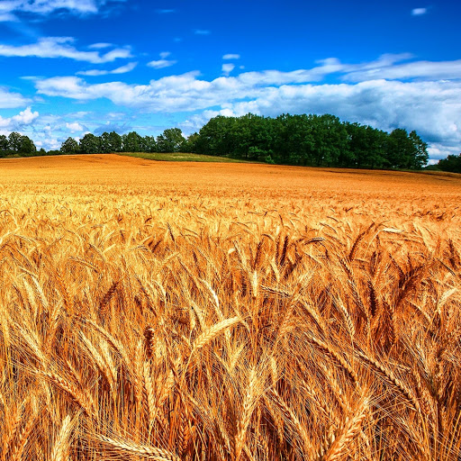 Hd-147361-ascw147361