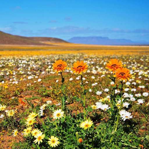 Hd-149082-ascw149082