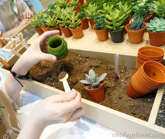 [lee%2520min%2520ho%2520innisfree7%255B2%255D.jpg.webp]