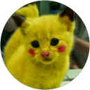 Image Google de Miss Matou
