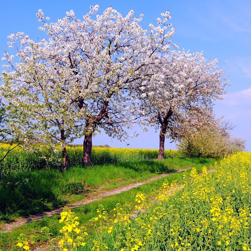 Hd-141789-ascw141789