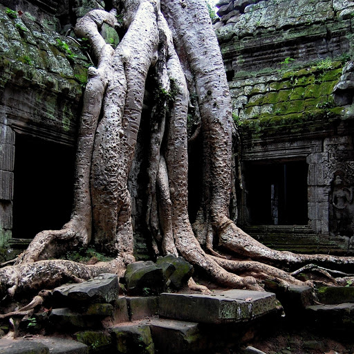 Hd-182741-ascw182741