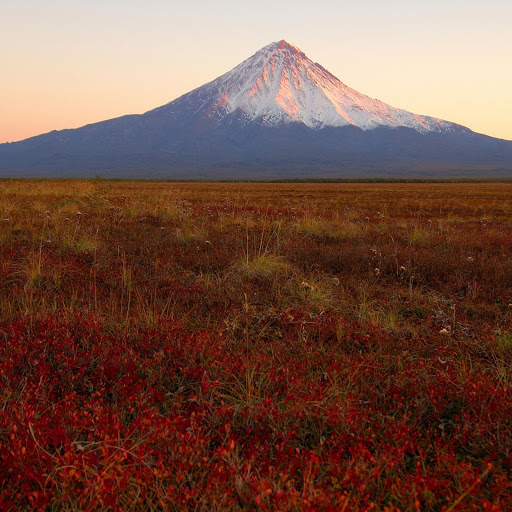 Hd-146065-ascw146065