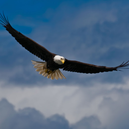 Hd-161045-ascw161045