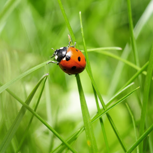 Hd-180938-ascw180938