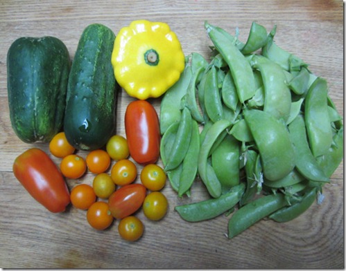 Pickling cukes, tomatoes, snow peas and squash
