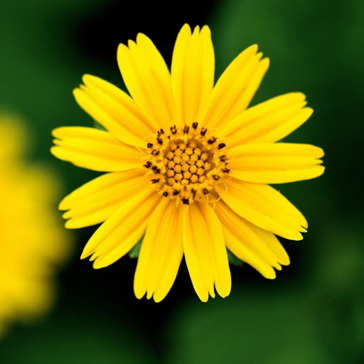 Hd-132932-ascw132932