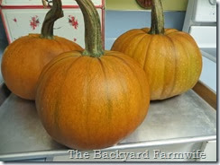 Bourbon Orange Pumpkin Butter - The Backyard Farmwife