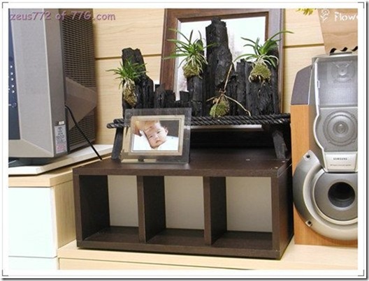Gallery421_0