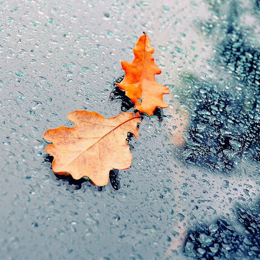 Hd-162794-ascw162794