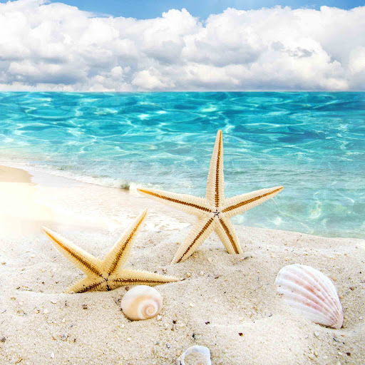 Hd-131172-ascw131172