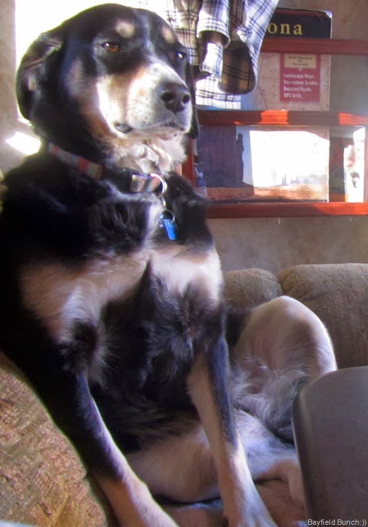 [IMG_1227%255B4%255D.jpg]