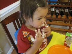 IMG_7966 IMG_7966