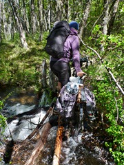 Carrying the bike across a stream on sketchy logs on the Argentinian side.