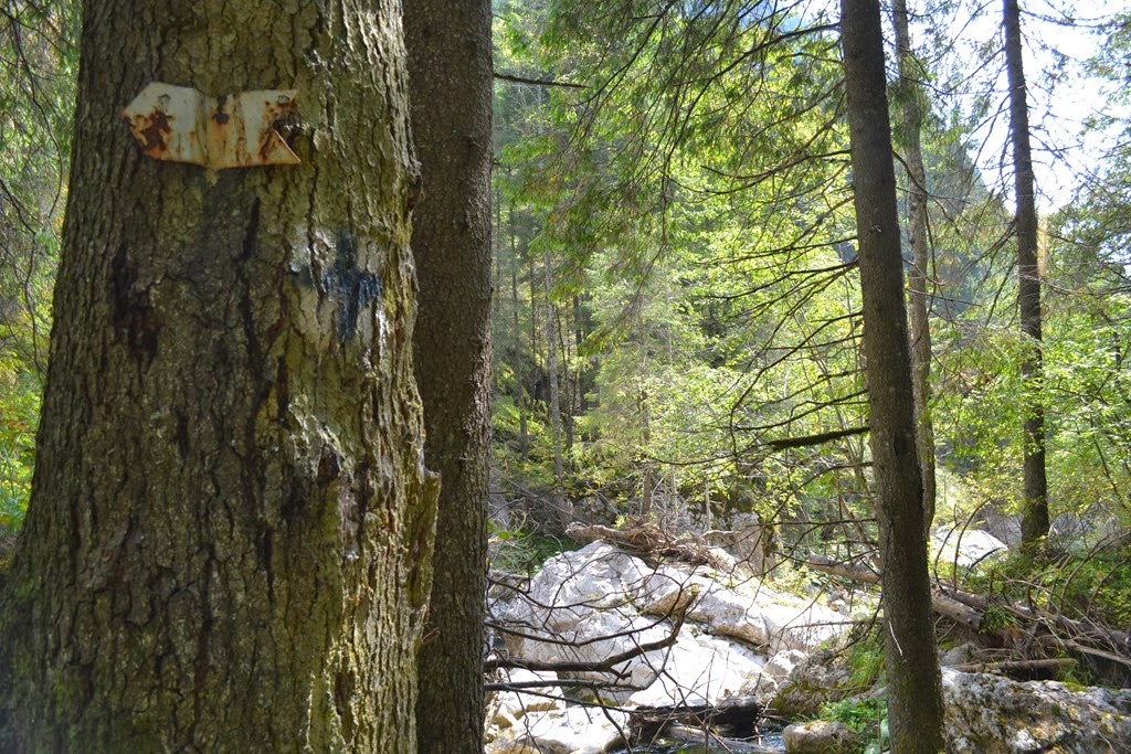 [DSC_01553.jpg]